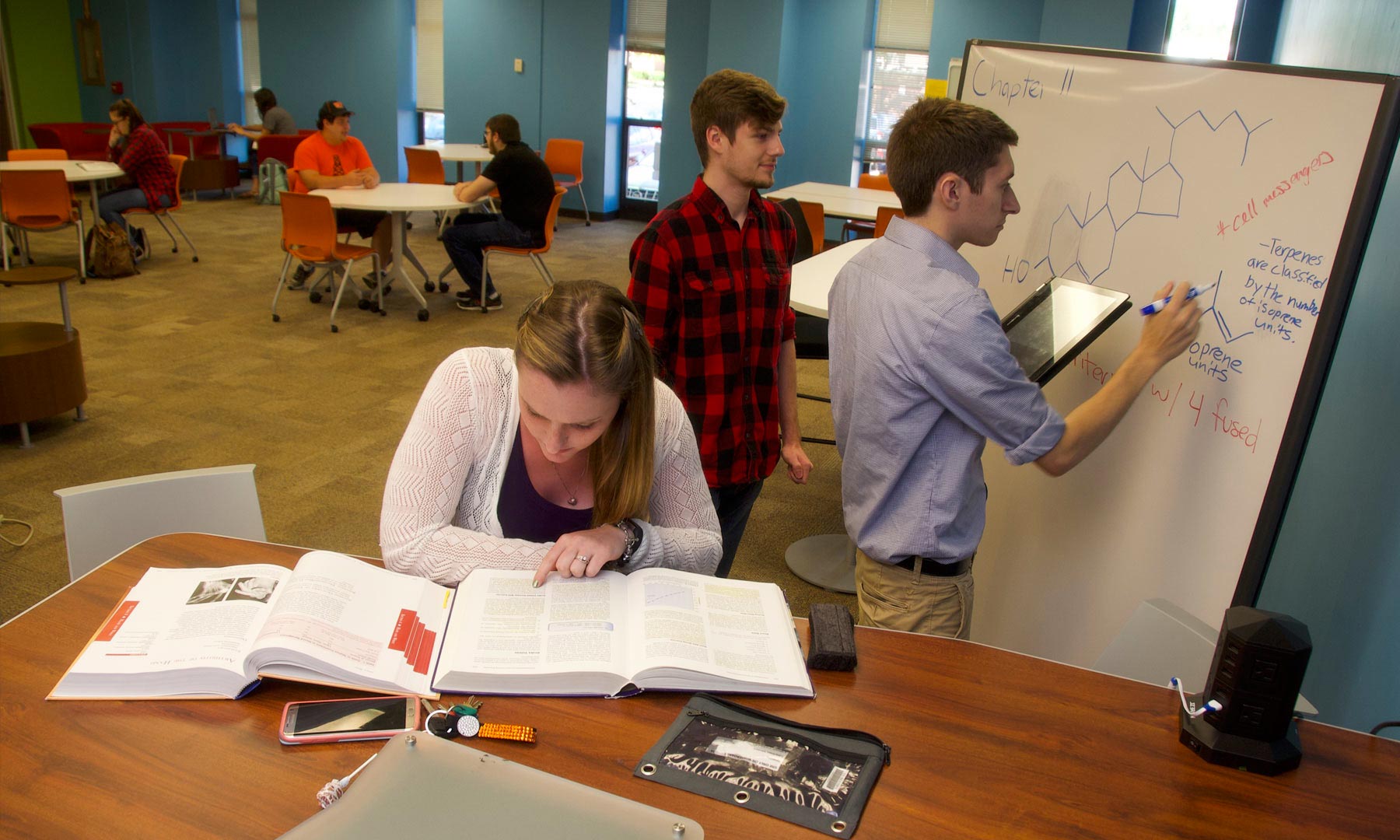 Honors Program University of Findlay